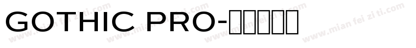 Gothic Pro字体转换